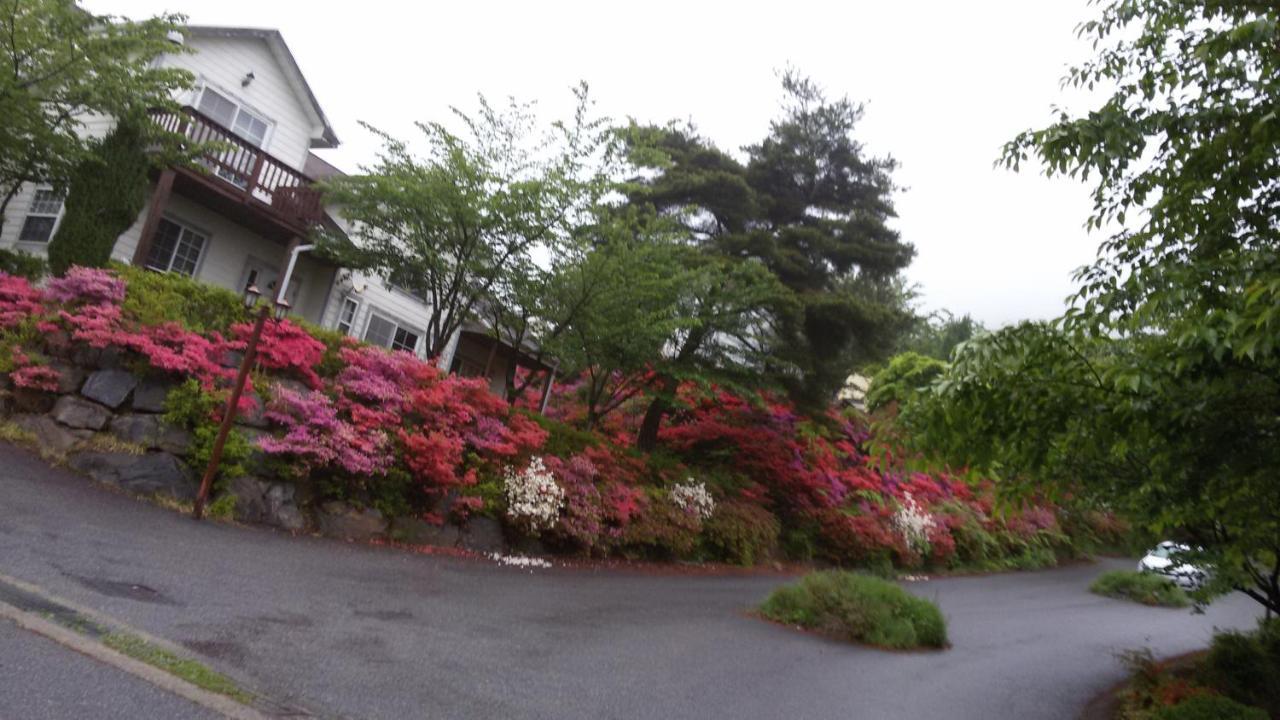 Daecheon Ocean Hill Pension 保宁市 外观 照片